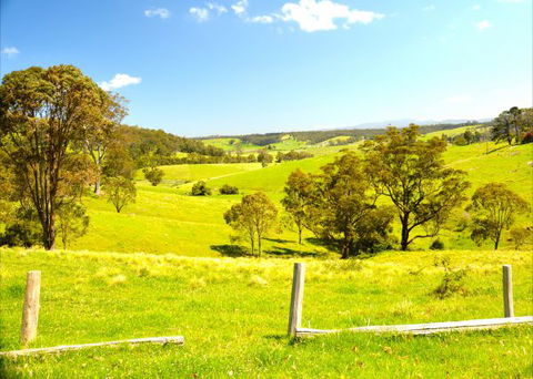 Tilba Coastal Retreat - Accommodation Sunshine Coast 9