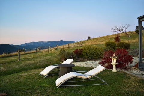 Wild Dog Rise - Accommodation Sunshine Coast 8