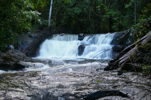 Bellthorpe Stays - Nature's Retreat - Accommodation Sunshine Coast 5