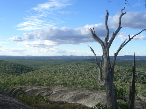 Goat Rock Camping Ground And Tourist Park - Accommodation Sunshine Coast 0