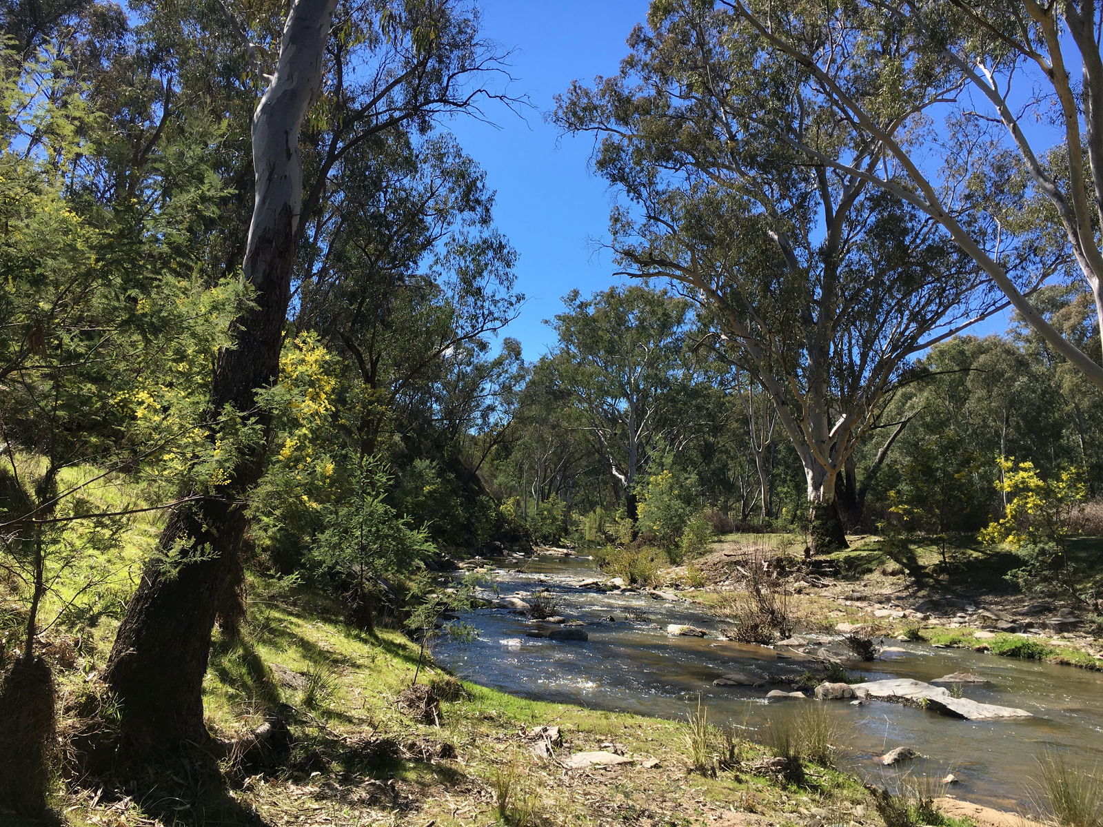 Mount Adrah NSW Accommodation Sunshine Coast