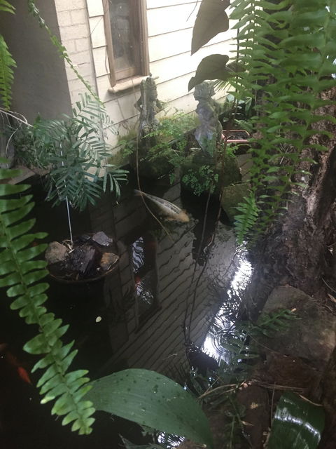HJapartments - Accommodation Sunshine Coast 4