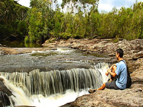 Kingfisher Pool Campground - Accommodation Sunshine Coast 0
