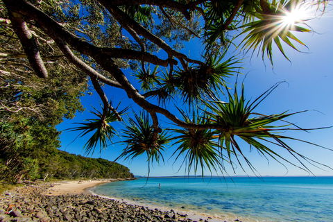 Noosa Caravan Park - Accommodation Sunshine Coast 2
