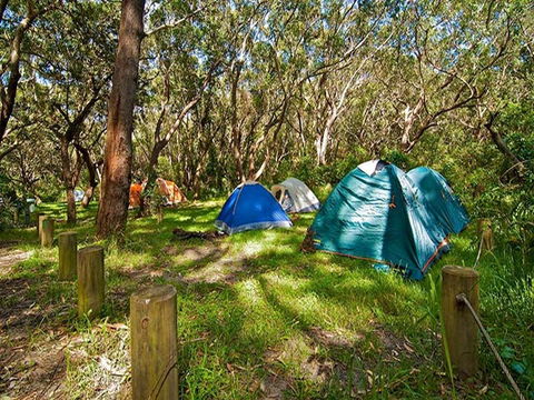 Yagon Campground - Accommodation Sunshine Coast 3