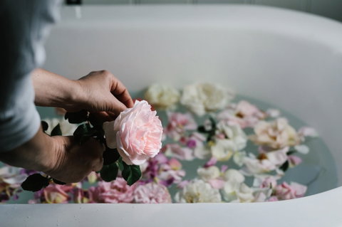 Acre Of Roses - Accommodation Sunshine Coast 5