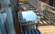 Blue Rama Narrandera - thumb 4