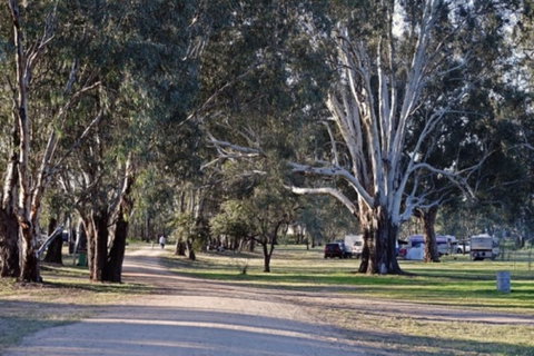 Broken Creek Bush Camp - Accommodation Sunshine Coast 1