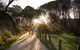 Diamond Head Campground - thumb 1