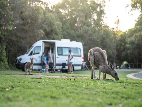Diamond Head Campground - Accommodation Sunshine Coast 3