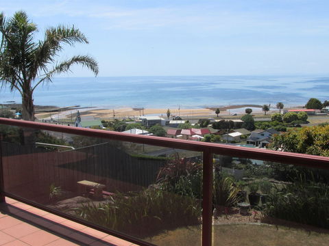 High On Penguin - Accommodation Sunshine Coast 1