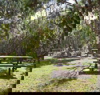 Illaroo group camping area - Accommodation Sunshine Coast