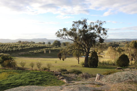 L'Oliveraie - Accommodation Sunshine Coast 3