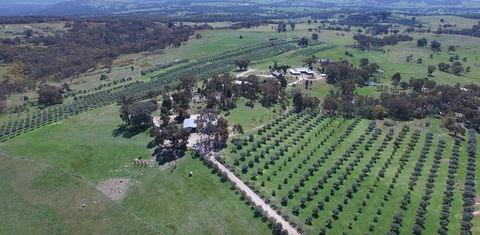 L'Oliveraie - Accommodation Sunshine Coast 6