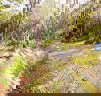 Mackaway Bay campground - Accommodation Sunshine Coast