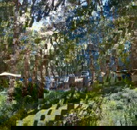 Neranie campground and picnic area - Accommodation Sunshine Coast