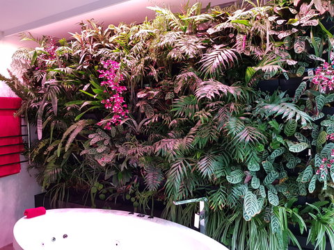 Ocean Blue B And B - Accommodation Sunshine Coast 0