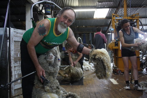 Rabbiters Hut - Accommodation Sunshine Coast 5