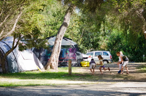 Rosebud Foreshore Camping - Accommodation Sunshine Coast 2