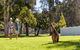 The Basin Campground - thumb 4