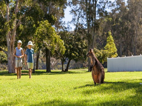 The Basin Campground - Accommodation Sunshine Coast 4