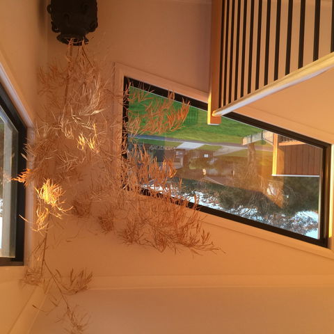 Barefoot Beach Stays - Accommodation Sunshine Coast 1