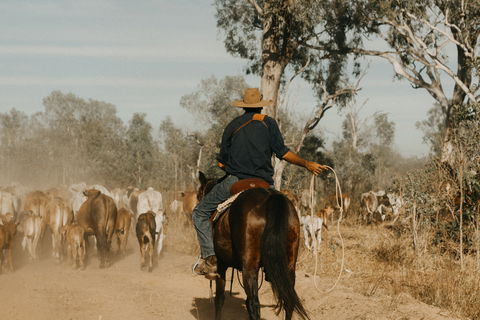 Bullo River Station - Accommodation Sunshine Coast 0