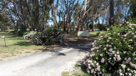 Camawald Coonawarra Cottage B&B - Accommodation Sunshine Coast 0