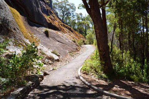 Centre Road Crossing Camp At Mount Frankland South National Park - Accommodation Sunshine Coast 0