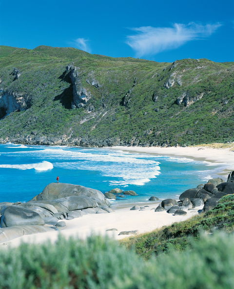 Crystal Springs Camp At D'Entrecasteaux National Park - Accommodation Sunshine Coast 0