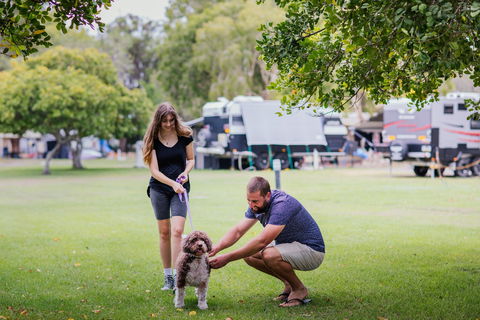 Kirra Beach Tourist Park - Accommodation Sunshine Coast 0