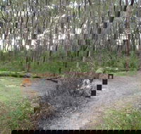 Meroo Head campground - Accommodation Sunshine Coast