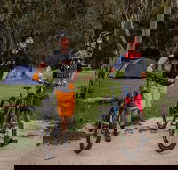 Ngarigo campground - Accommodation Sunshine Coast