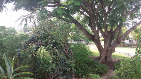 Rosehill Apartments - Accommodation Sunshine Coast 2