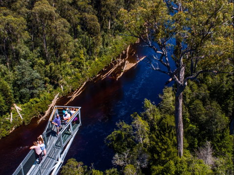 Tahune Adventures Tasmania - Lodge And Cabin - Accommodation Sunshine Coast 1