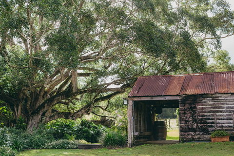 The Eumundi Dairy - Accommodation Sunshine Coast 2