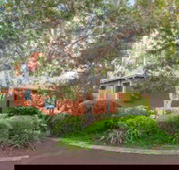 Wills - Accommodation Sunshine Coast