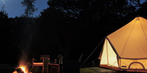 Zeehan Bush Camp - Accommodation Sunshine Coast 1