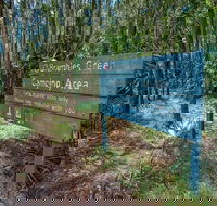 Brambles Green campground - Accommodation Sunshine Coast