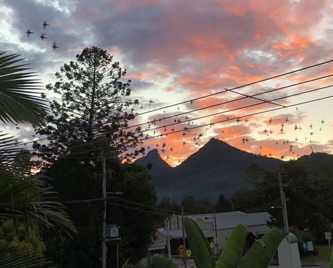 Chesson Lodge- In The Heart Of Uki - Accommodation Sunshine Coast 0