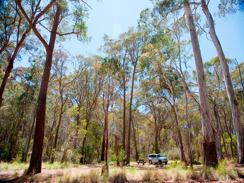 Coolah Tops National Park Camping - Accommodation Sunshine Coast 0