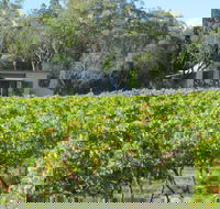 Just Red Wines Vineyard Cabins - Accommodation Sunshine Coast