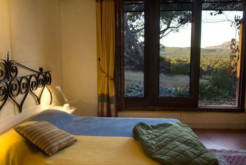 Kangaroos In The Top Paddock - Accommodation Sunshine Coast 1