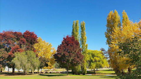 Lockhart Caravan Park - Accommodation Sunshine Coast 1