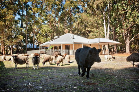 Margaret River Hideaway And Farmstay - Accommodation Sunshine Coast 1