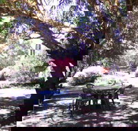 Morse Cottage - Accommodation Sunshine Coast