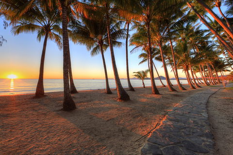 NRMA Palm Cove Holiday Park - Accommodation Sunshine Coast 0