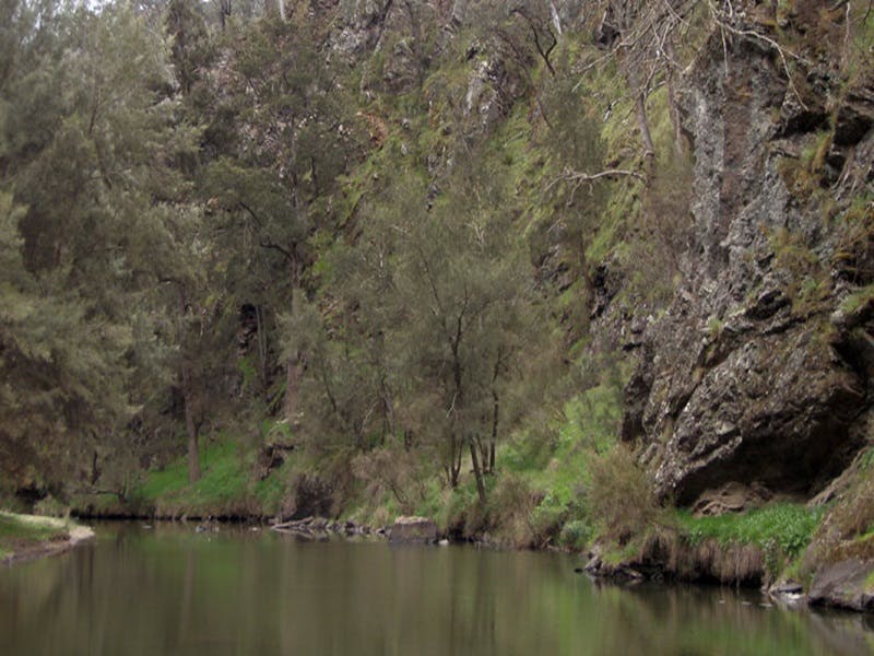Boxers Creek NSW Accommodation Sunshine Coast