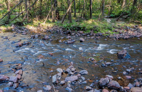 Toorooroo Campground - Accommodation Sunshine Coast 0