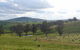 Wantana Cottage Farm Stay - thumb 0